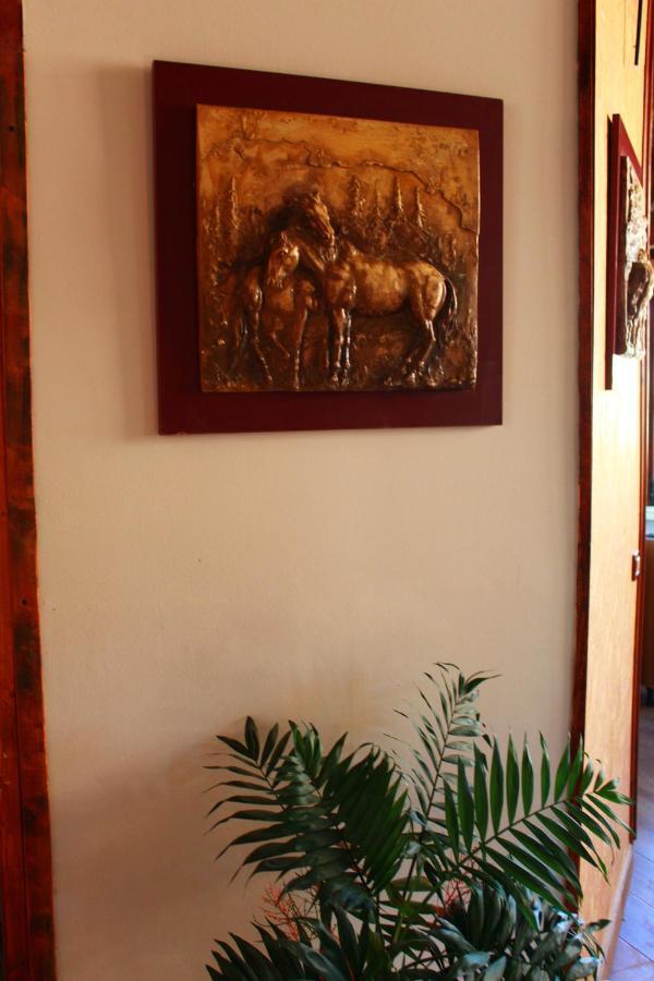 Bed and Breakfast 2 Kitarat Bb Вльора Екстер'єр фото